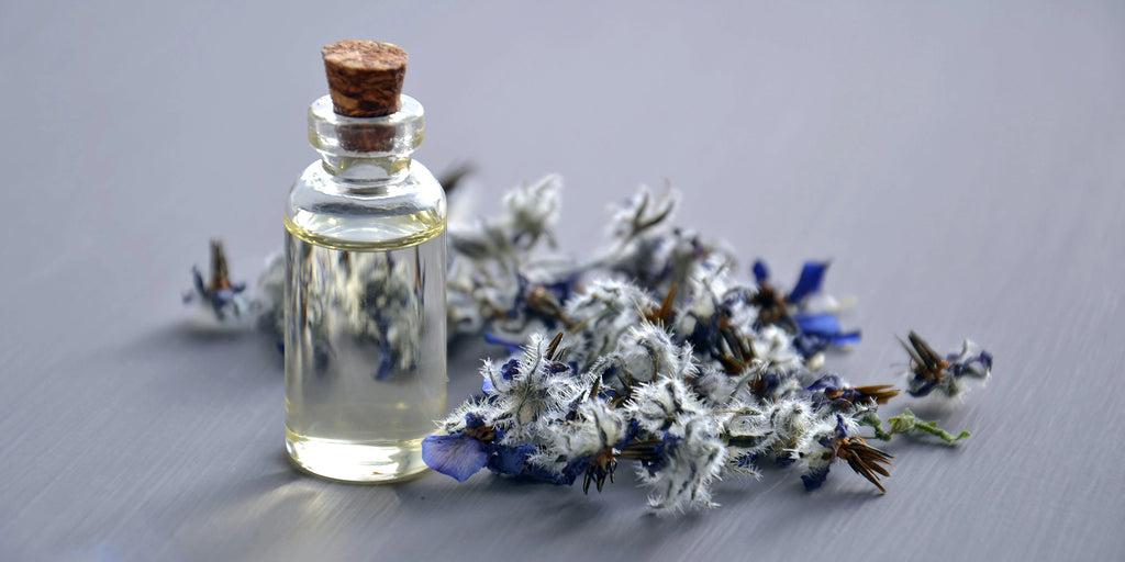 Organic Essential Oils: Meet Your Ingredient — Meliora Cleaning Products