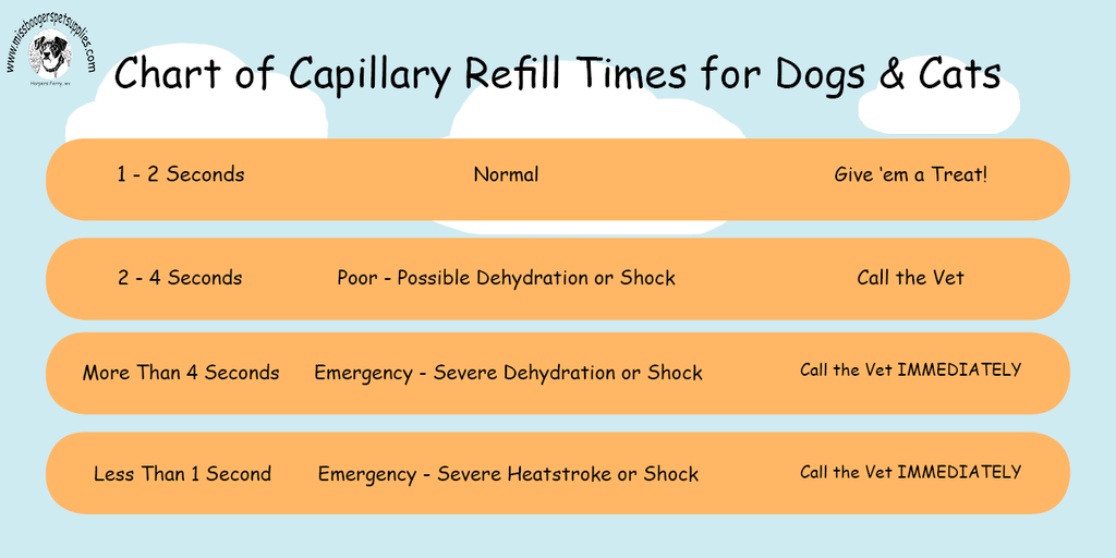 Chart of Capillary Refill Times for Dogs and Cats