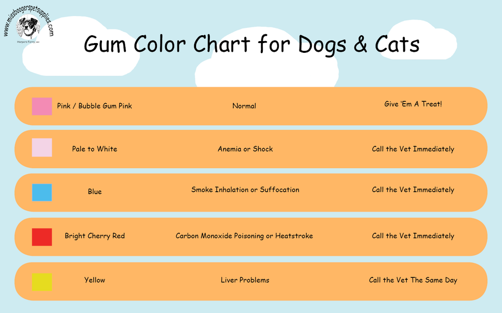 Gum Color Chart for Dogs and Cats