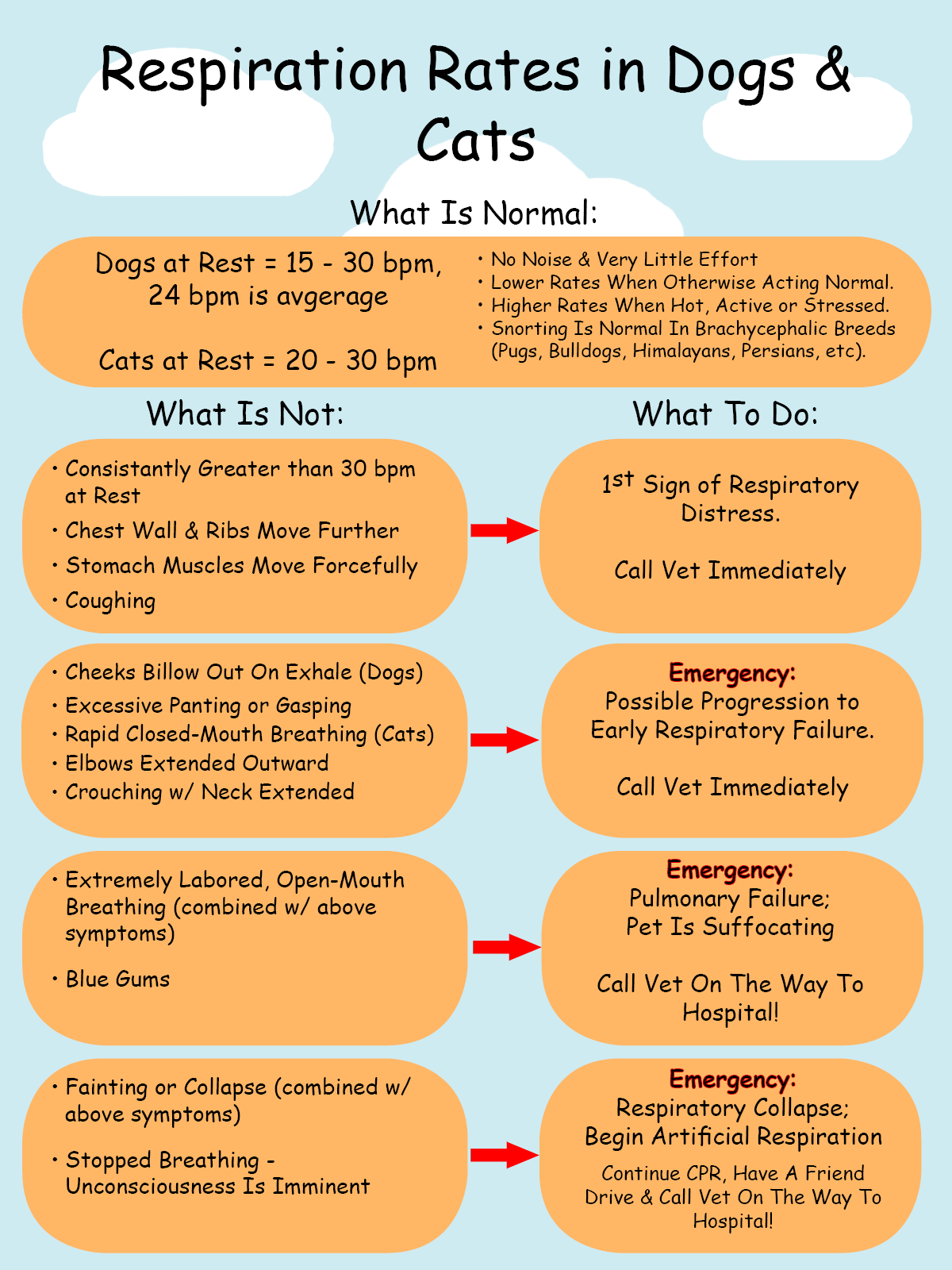 Dog Respiratory Rate Chart