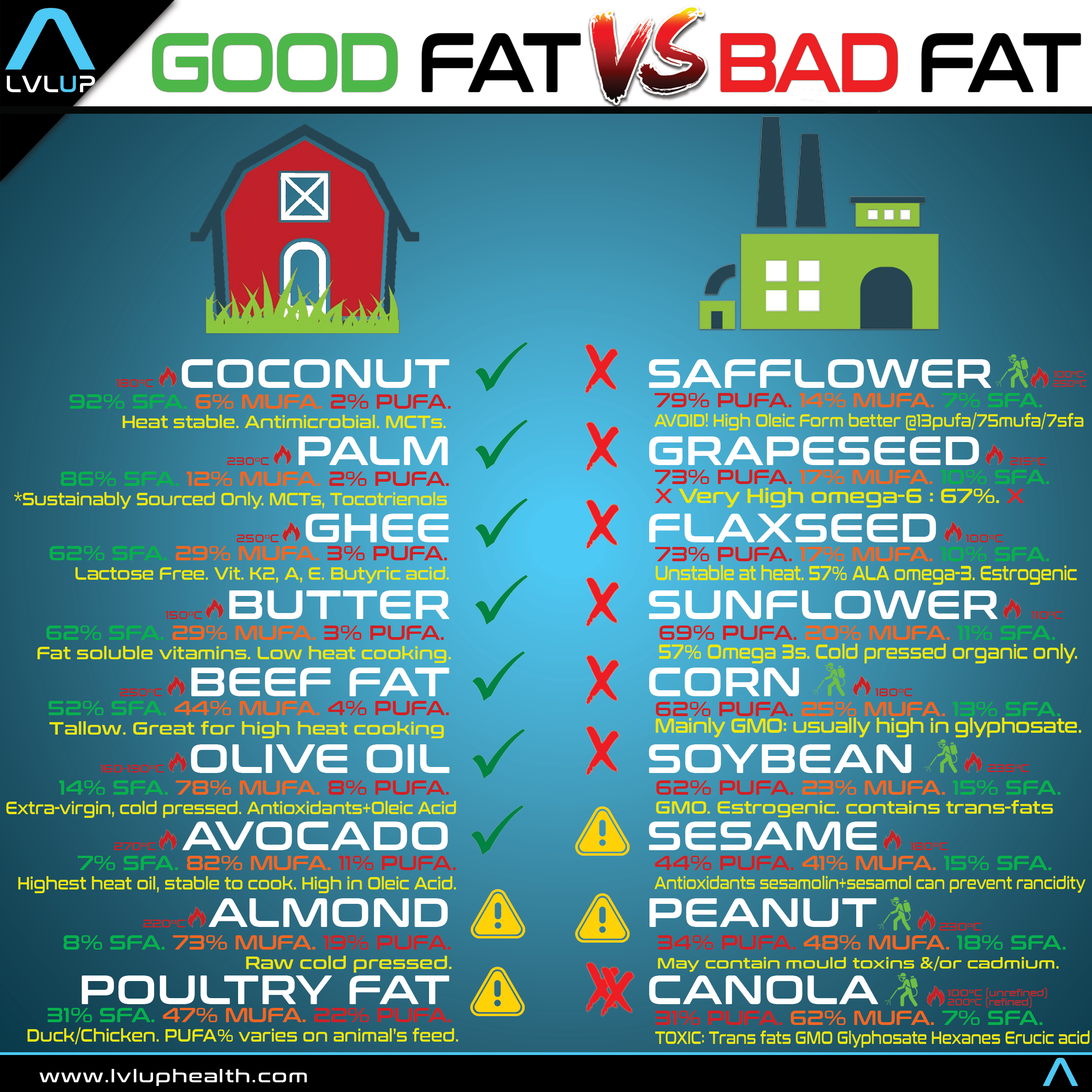 know your fats - lvlup