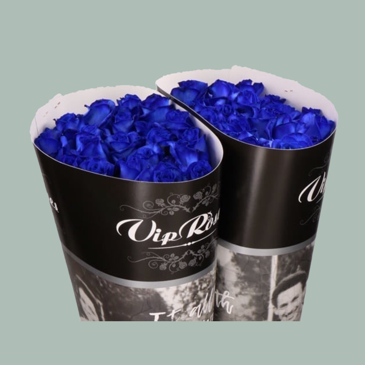 Rose Vendela Dyed Blue (20 Stems) – All Occasions Wholesale