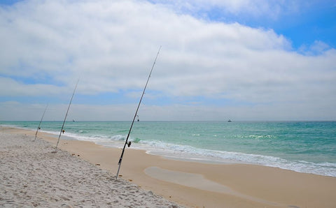 Surf fishing