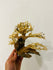 Aquarium Bonsai Driftwood
