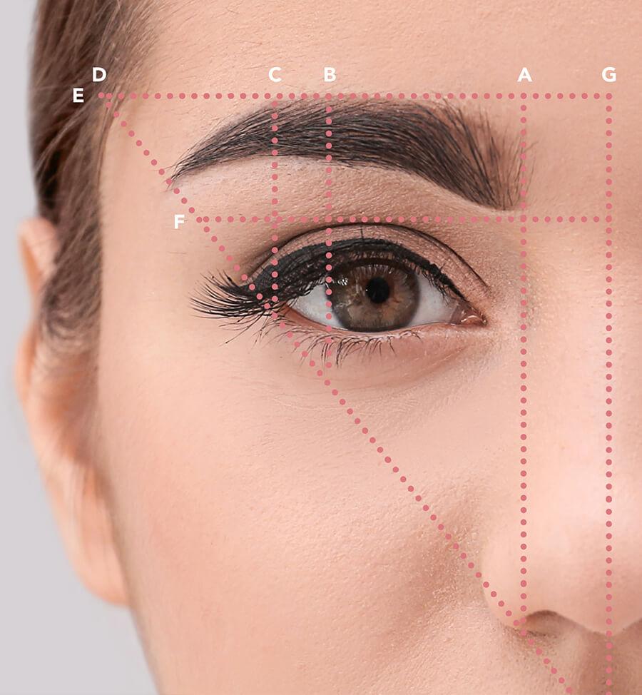Eyebrow Brush - The Secret to Eyebrow Shaping? | 100% PURE