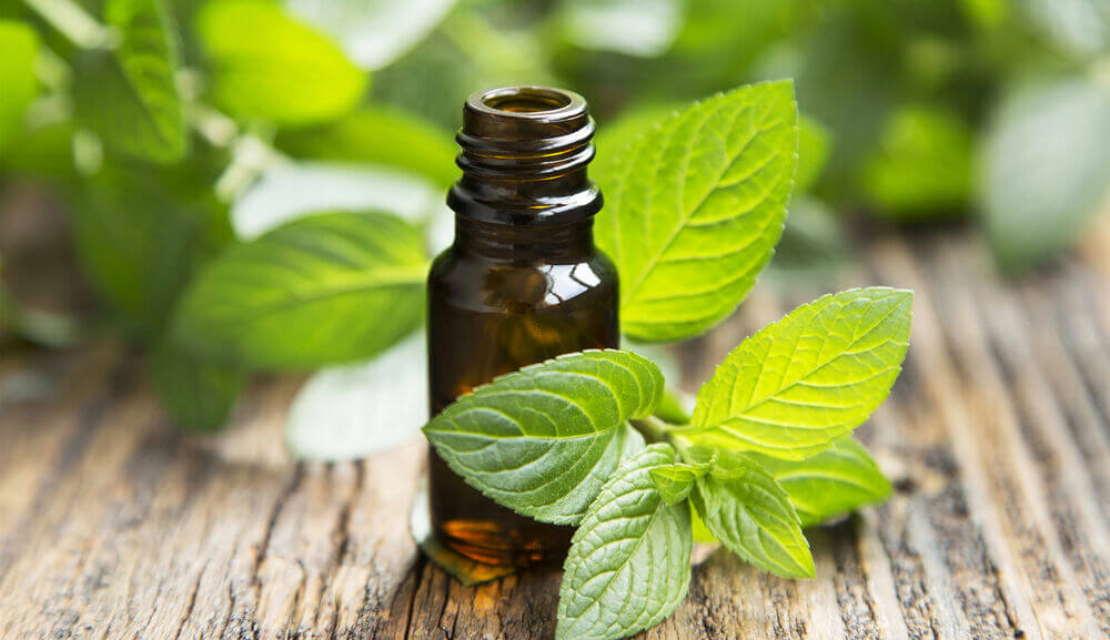 What Does Peppermint Essential Oil Do? – 100% PURE