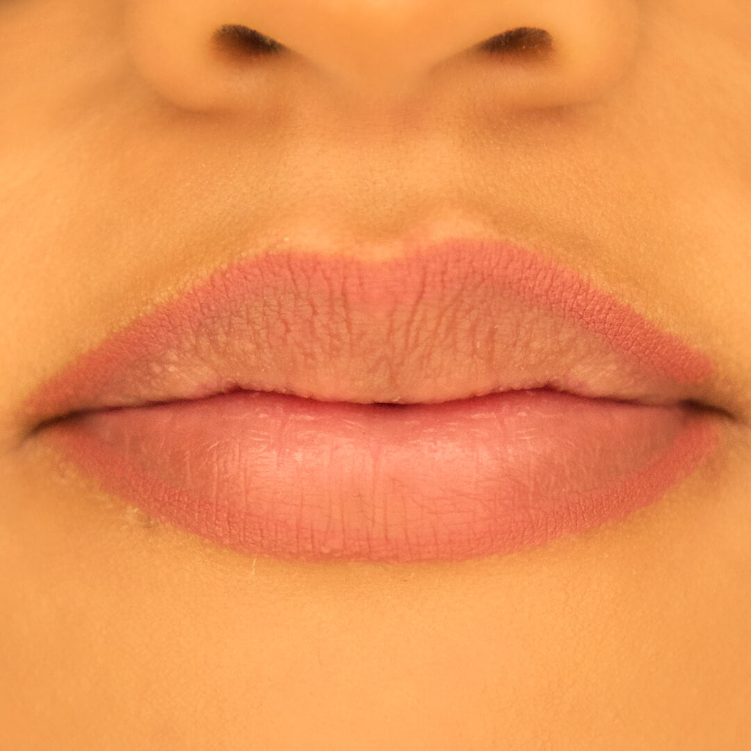 100% PURE Creamy Long Last Lip Liner: Pink Brandy look