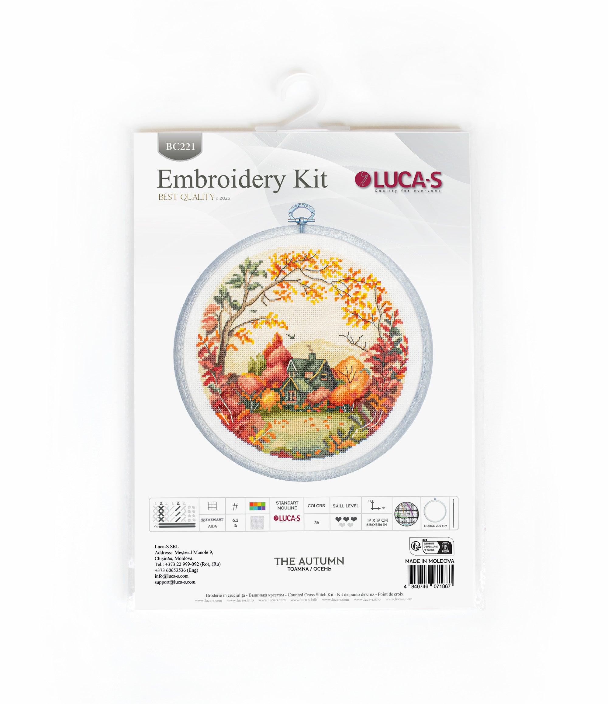 My First Embroidery. Strawberry Cross Stitch Kit, code B015 Luca-S