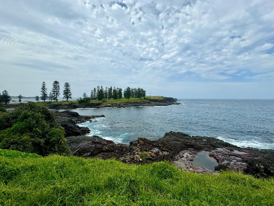 Thuja trees and sea