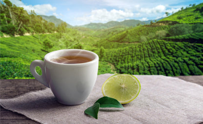 A white cup filled with green tea next to tea leaves and sliced lime. In the background, there is a huge tea field