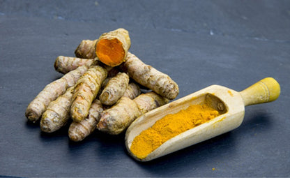 Raw organic turmeric with its powder in a wooden spoon
