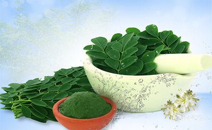 Moringa leaves and powder in a white pestle and mortar and a small brow bowl