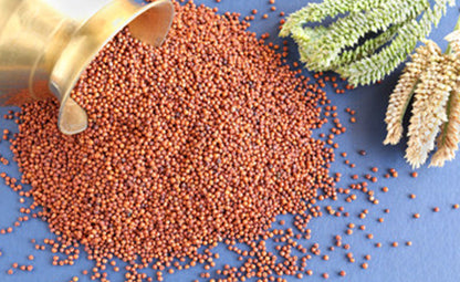 Ragi/Finger millet tossed from a brass container