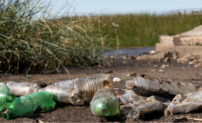 Plastic bottles garbage near a shore with grass. Plastic pollution