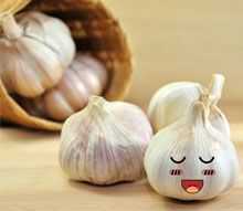 Peeled Garlic on a wooden tray next to a whole garlic in a wooden bowl