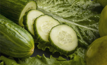 Raw and fresh cucumber with lettuce