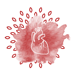 Human Heart vector in maroon colour with pattern