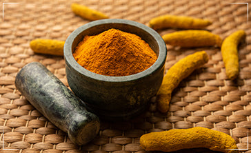 Pestle and mortar of pure curcumin powder and raw turmeric