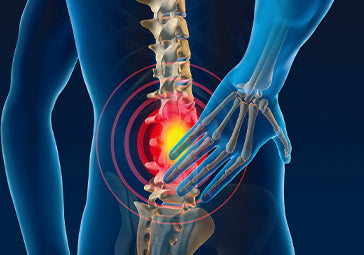 A vector of lower back spinal back pain