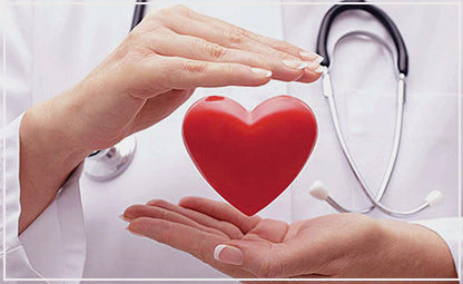 A heart-shaped vector in between the hands of a doctor