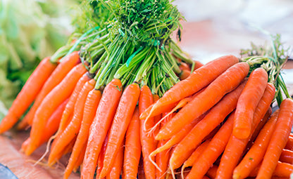 Organic and fresh carrots