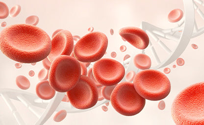 Vector of blood pressure and red blood cells