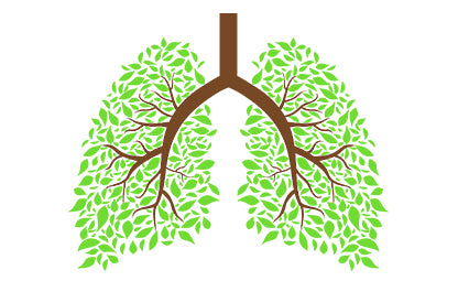 Vector of respiratory and lung health