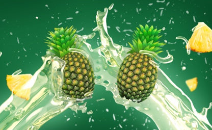 Vector of pineapple and its pieces 