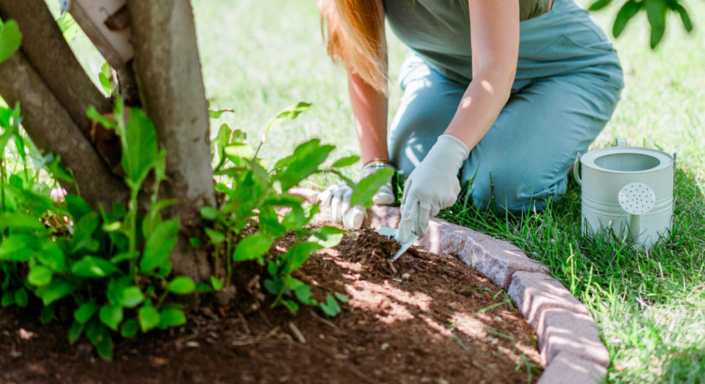 no dig landscape edging