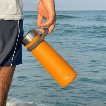 S'well® Traveler Insulated Water Bottle - 16 oz – To The Nines Manitowish  Waters