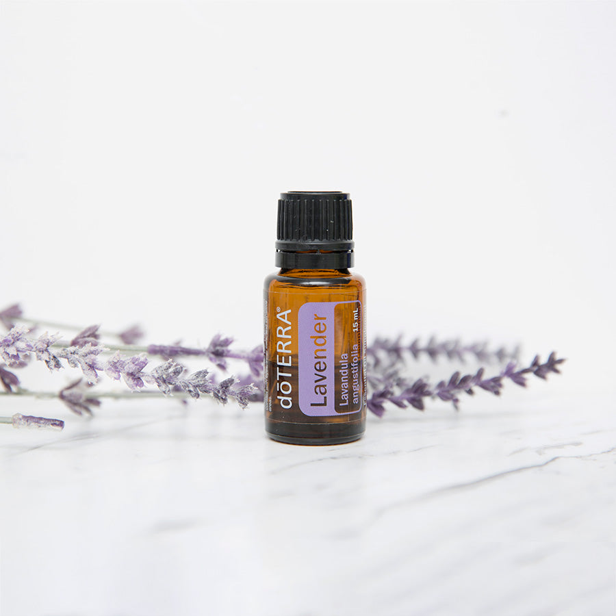 Image de l'huile essentielle doTERRA lavande