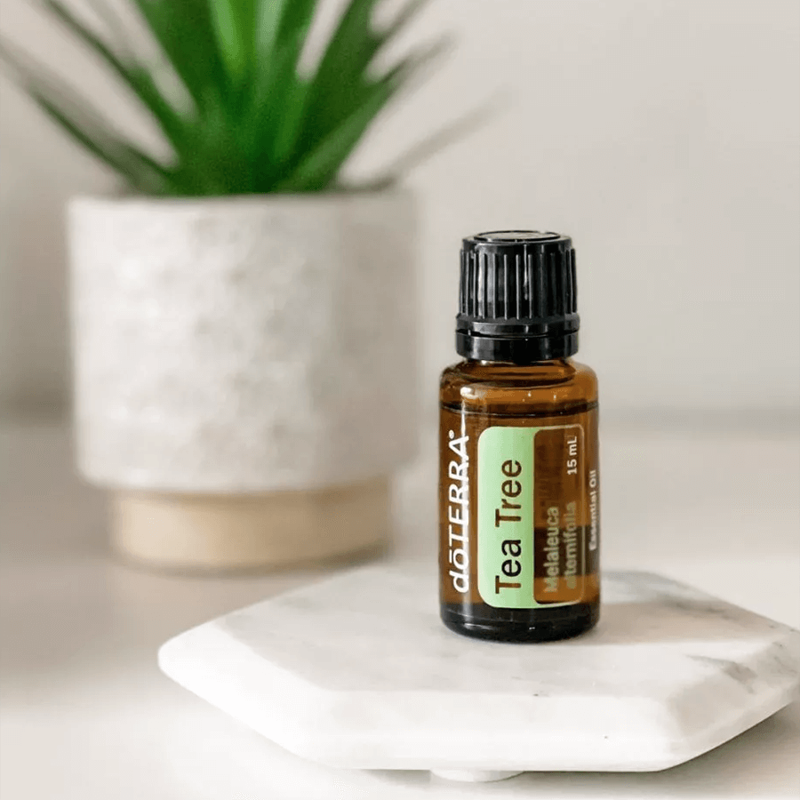 Image de l'huile essentielle doTERRA tea tree