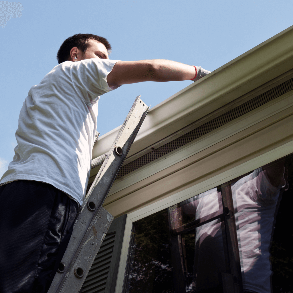 cleaning gutters and roof