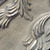 Maricopa (Antique Satin Nickel) Color Swatch