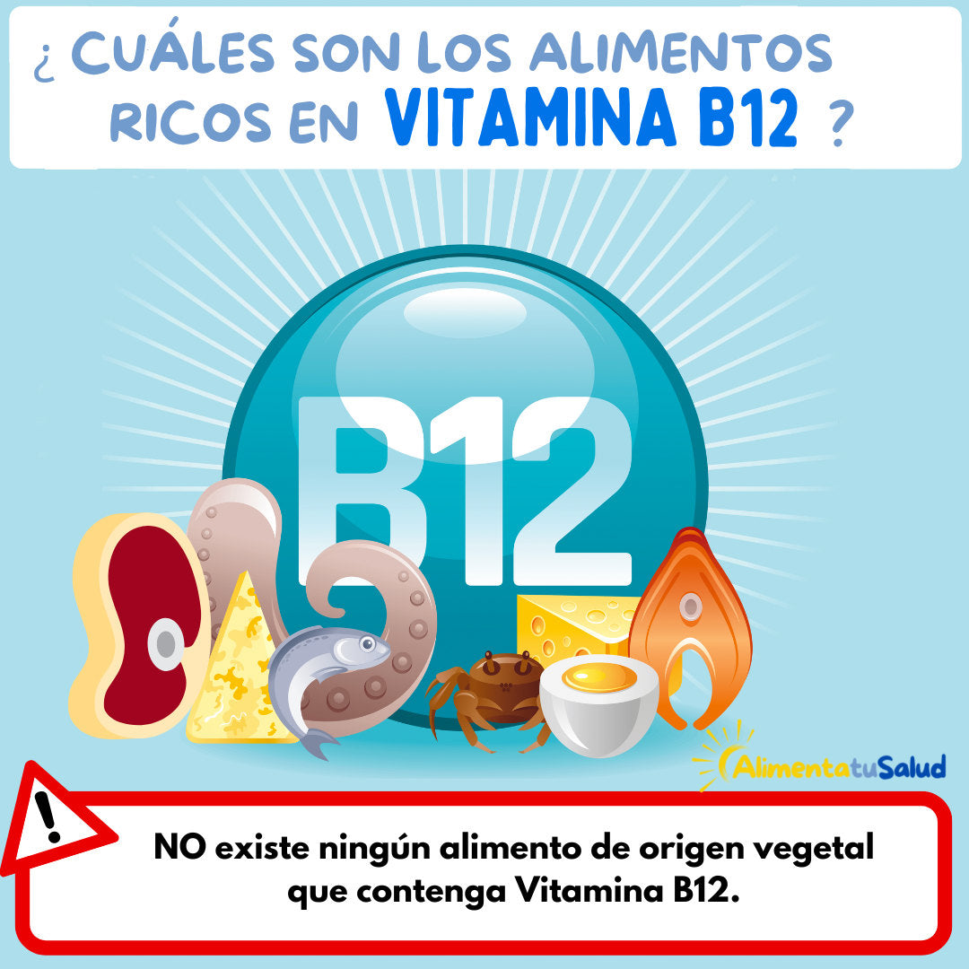 Alimentos que contienen vitamina B12, alimentos ricos en vitamina B12, donde se encuentra la vitamina B12, que tiene vitamina B12.