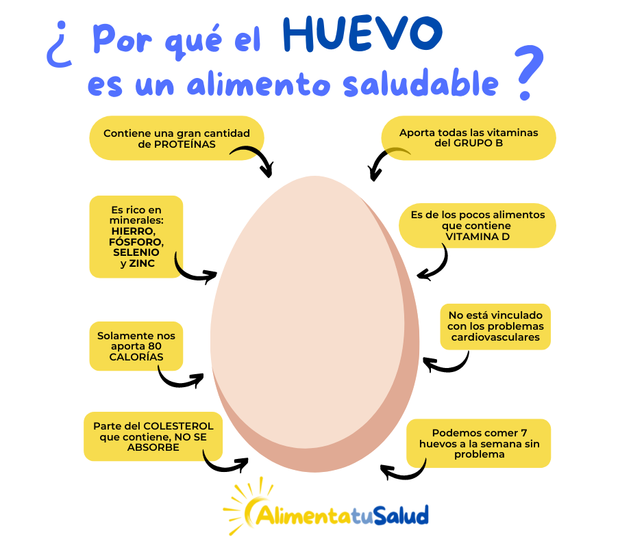 El huevo es bueno o malo para la salud, propiedades del huevo, nutrientes del huevo, que contiene el huevo, el huevo es saludable, composición del huevo.