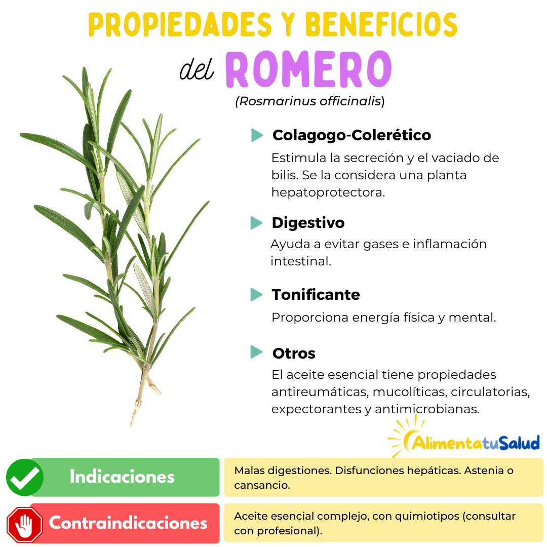 propietats i beneficis de la planta medicinal Romero, fitxa del Romero, indicacions i contraindicacions del Romero, digestiu, hepàtic, antimicrobià, tonificant, colagog, alimenta la teva salut, que cura el Romero, perquè serveix el Romero.