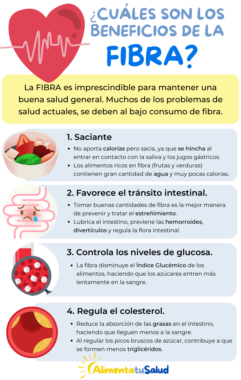 ¿Cuáles son los beneficios de la fibra? La FIBRA es imprescindible para mantener una buena salud general. Muchos de los problemas de salud actuales, se deben al bajo consumo de fibra. Saciante: No aporta calorías pero sacia, ya que se hincha al entrar en contacto con la saliva y los jugos gástricos. Los alimentos ricos en fibra (frutas y verduras) contienen gran cantidad de agua y muy pocas calorías. 2. Favorece el tránsito intestinal. Tomar buenas cantidades de fibra es la mejor manera de prevenir y tratar el estreñimiento. Lubrica el intestino, previene las hemorroides, divertículos y regula la flora intestinal. 3. Controla los niveles de glucosa. La fibra disminuye el Índice Glucémico de los alimentos, haciendo que los azúcares entren más lentamente en la sangre.4. Regula el colesterol. Reduce la absorción de las grasas en el intestino, haciendo que lleguen menos a la sangre. Al regular los picos bruscos de azúcar, contribuye a que se formen menos triglicéridos.