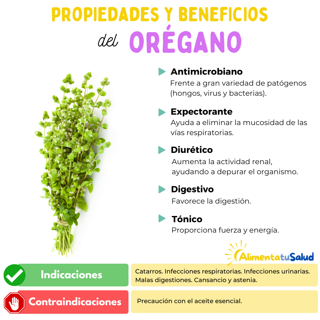 propiedades y beneficios de la planta medicinal orégano, ficha del orégano, indicaciones y contraindicaciones del orégano, digestivo, tónico, antimicrobiano, antibacteriano, expectorante, diurético, alimenta tu salud, que cura el orégano, para que sirve el orégano.