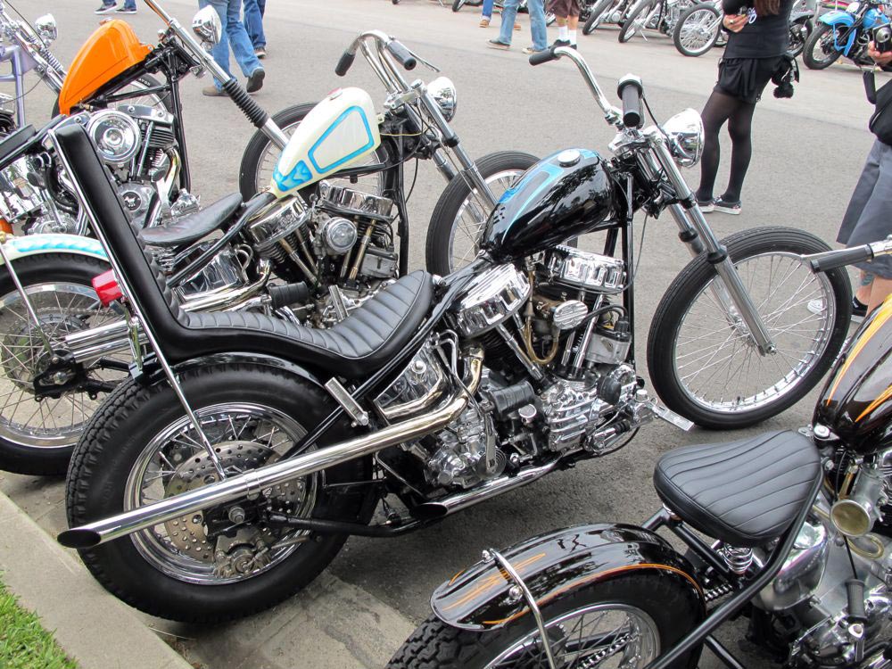 bornfree_bikes01.jpg