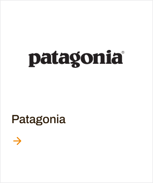 patagonia