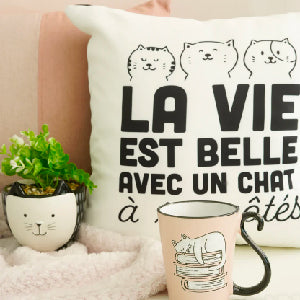 Text cushions