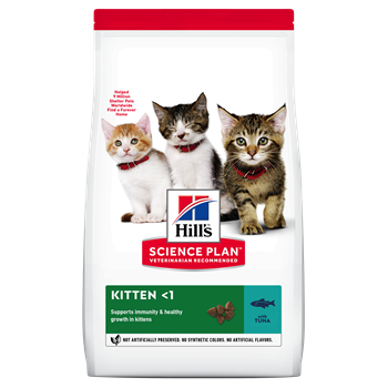 hills cat food kitten