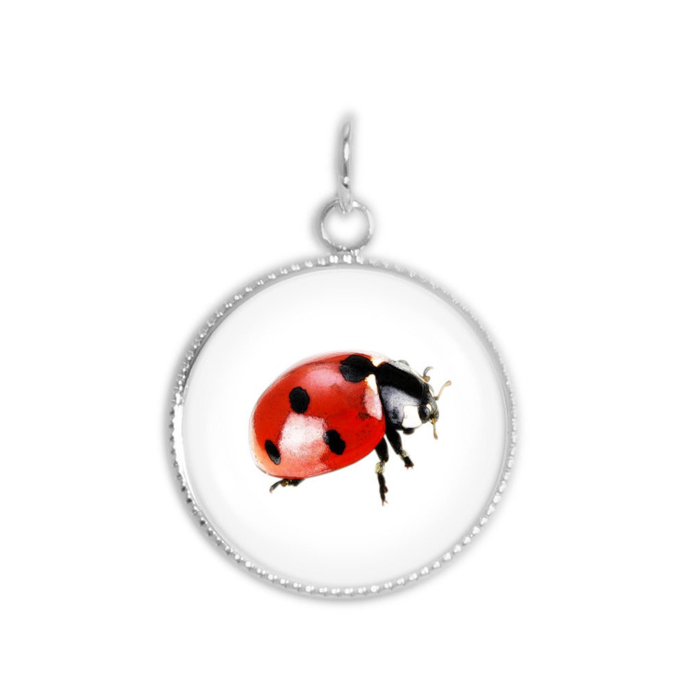 Ladybug Color Pencil Drawing Style 3/4" Charm for Petite Pendant or Bracelet in Silver Tone or Gold Tone