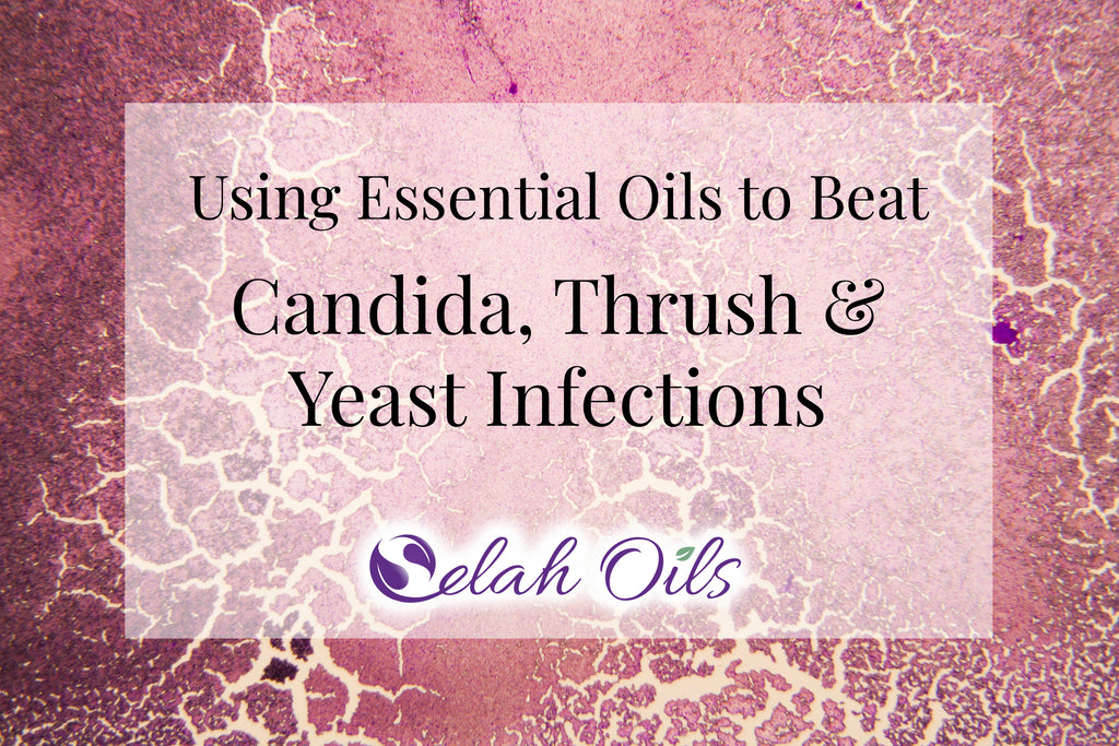 Essential Oils for Yeast Infection - Candida - Thrush - Essential 3