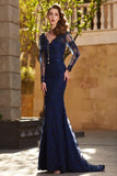 Blue Sheath Brush Train Long Sleeve V Neck Lace Prom Dress,Party Dress PR8814