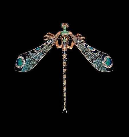 Dragonfly female corsage ornament