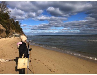 view at Chesapeake Bay