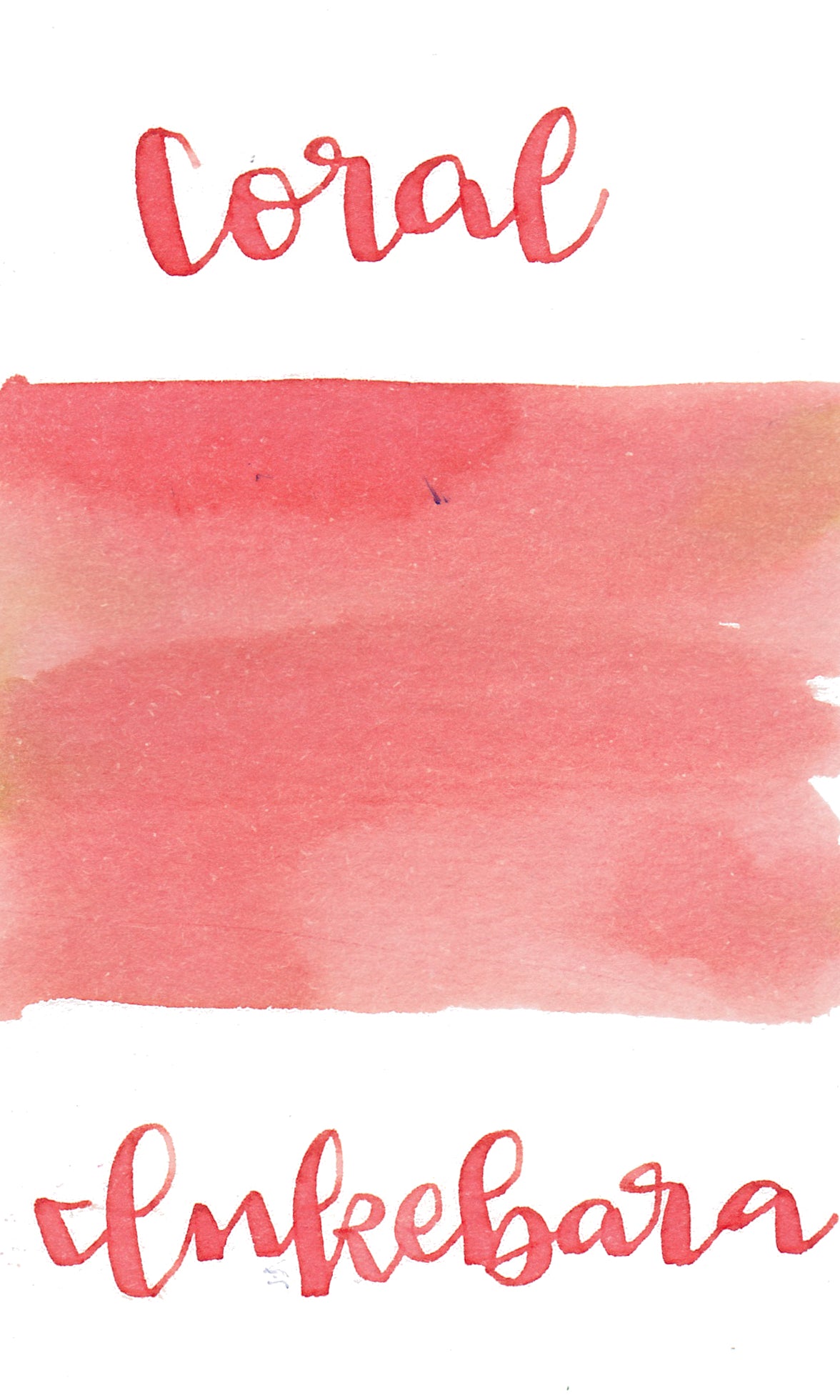 Rosa : Watercolor Paint : 10ml : Coral