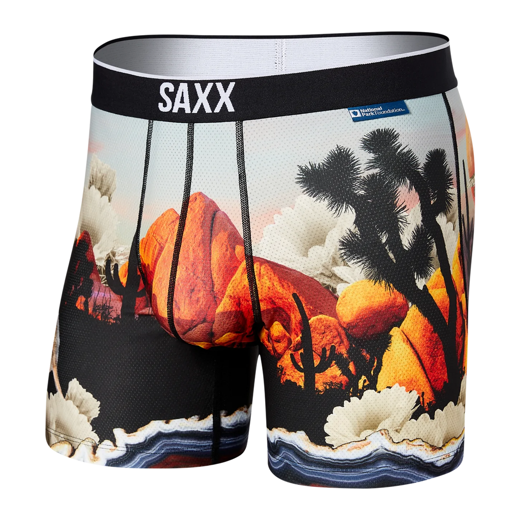 Saxx Volt Boxer Brief - Planet Ice Cream – NYLA Fresh Thread